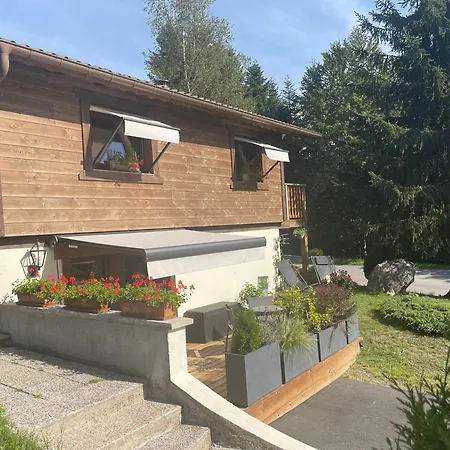 Apartment De Montagne 